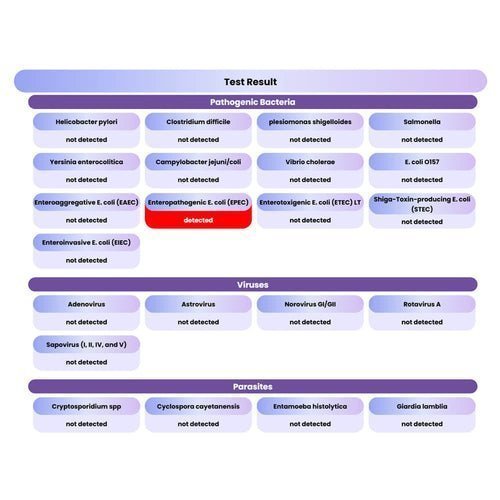 Gut Parasites - The comprehensive guide