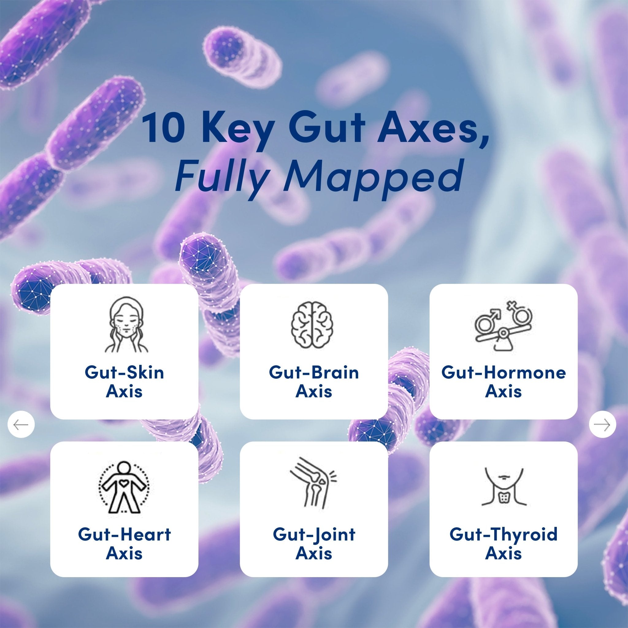 Feel Gut - Gut-Axis test - Skin, Brain, Heart, Hormone, Joint, Thyroid