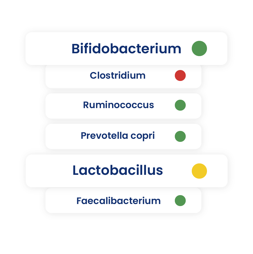 Gut bacteria and why they're important