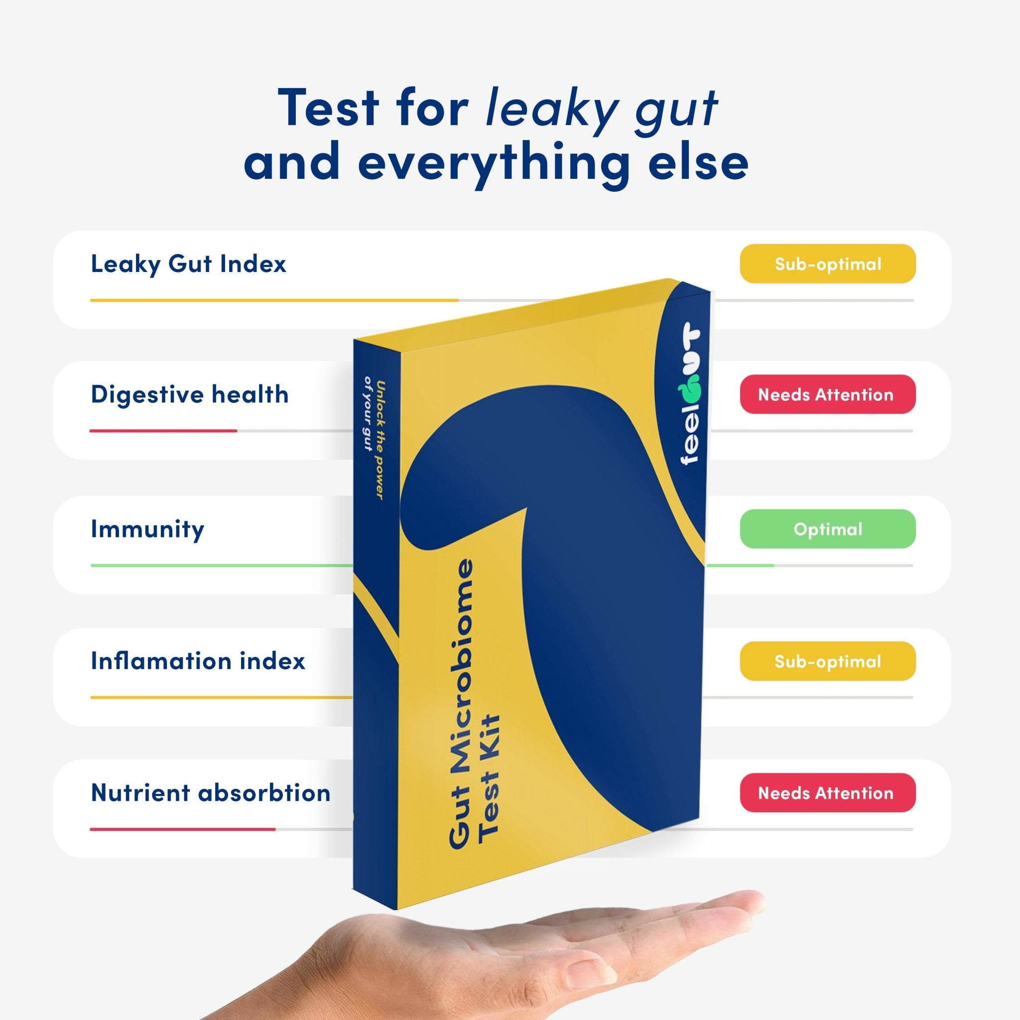 At-Home Leaky Gut Test Kit