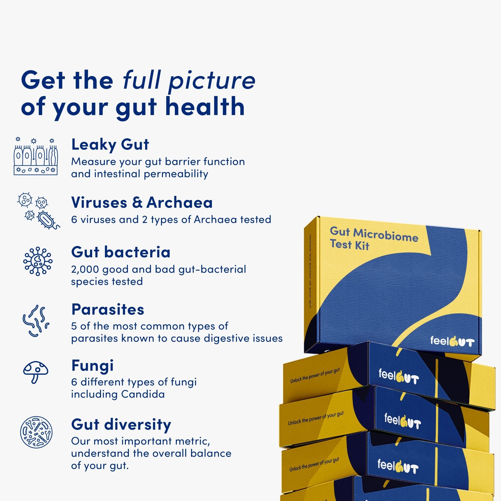 At-Home Leaky Gut Test Kit