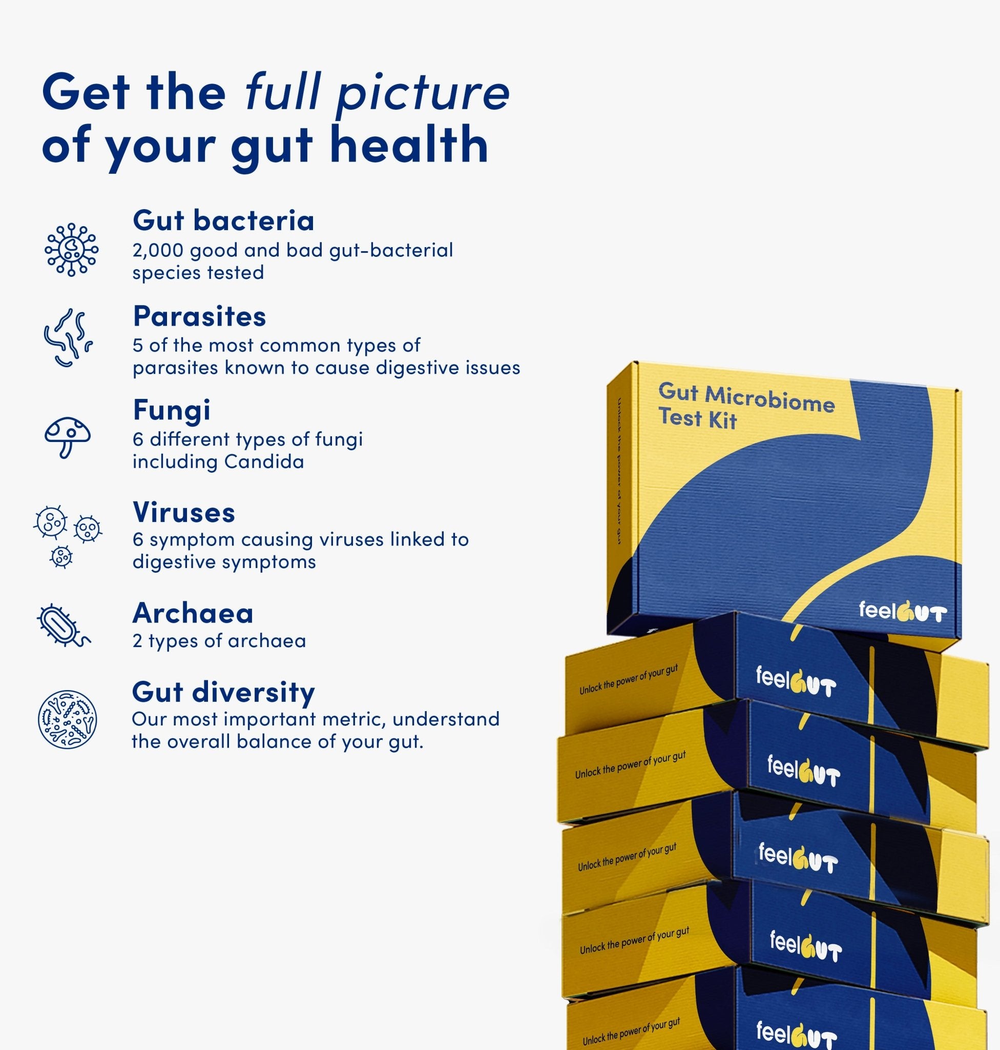 bpc-157 microbiome study gut microbiota At-Home Test Size:1000 mcg/ml - 30 ml x 5 wrinkle reduction Vitamin B12 Shots for