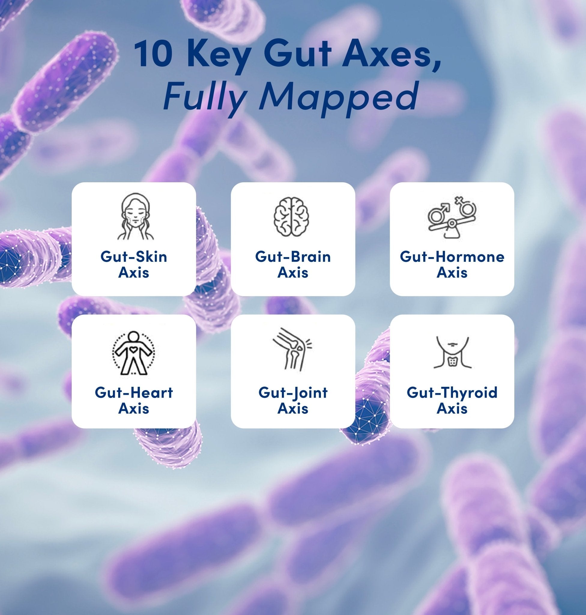 Gut Microbiome Health Test