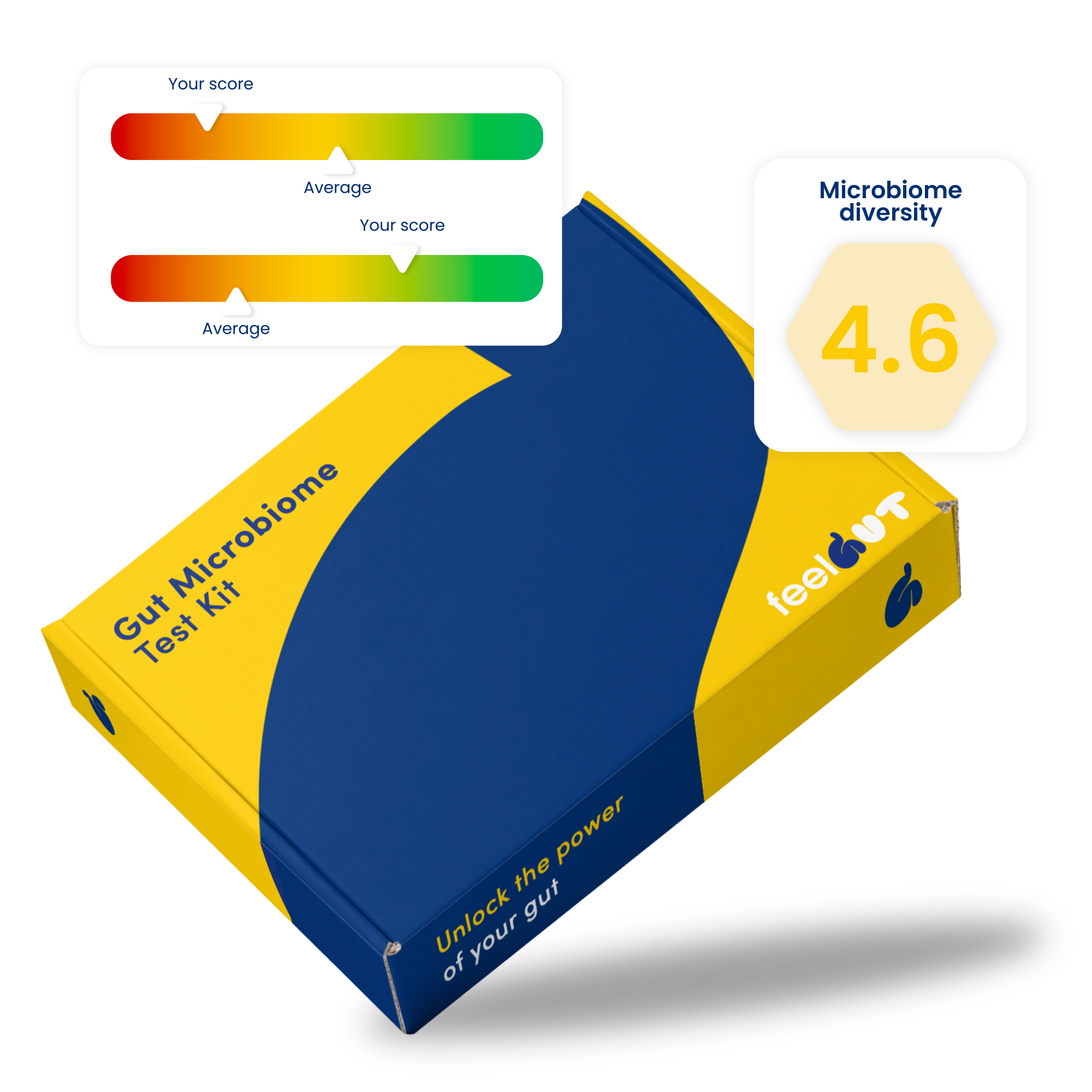 Gut microbiome health test kit with results and personalised food recommendations